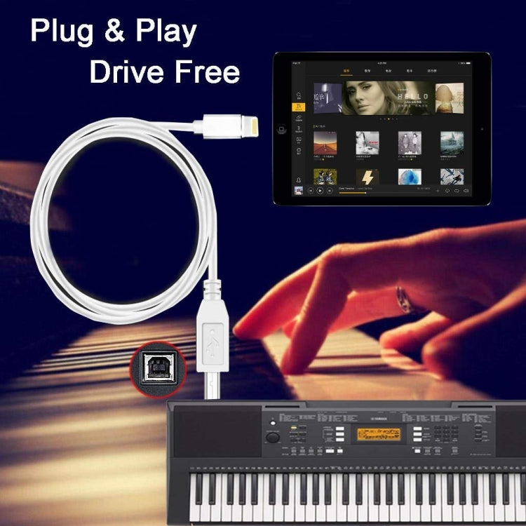 8Pin 轉 Type-B方口鋼琴/电子琴線MIDI線 線長1米 支持iOS 11.4系統