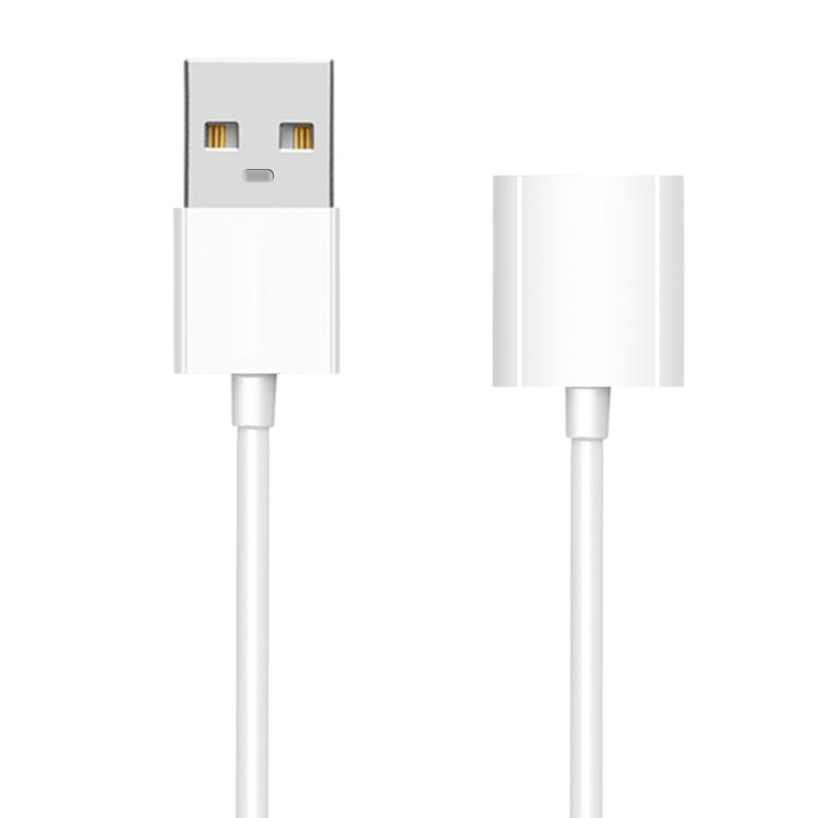 1m 蘋果筆充電線 適用於iPad Pro