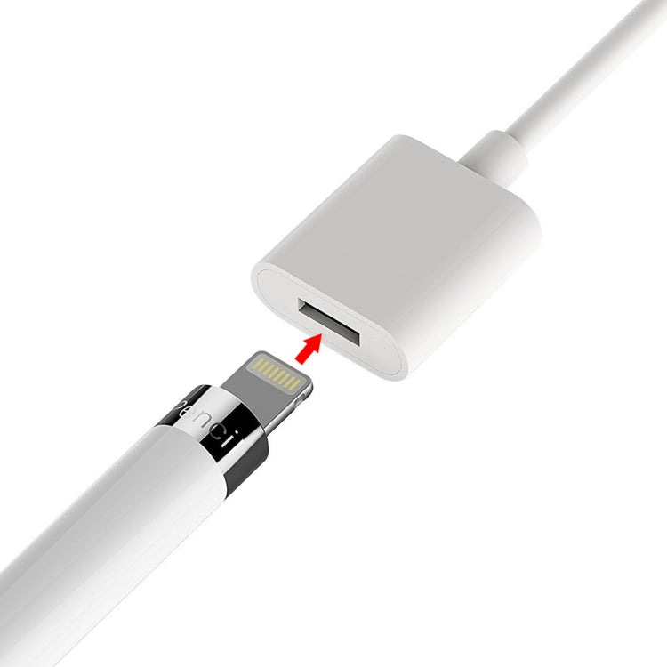 1m 蘋果筆充電線 適用於iPad Pro