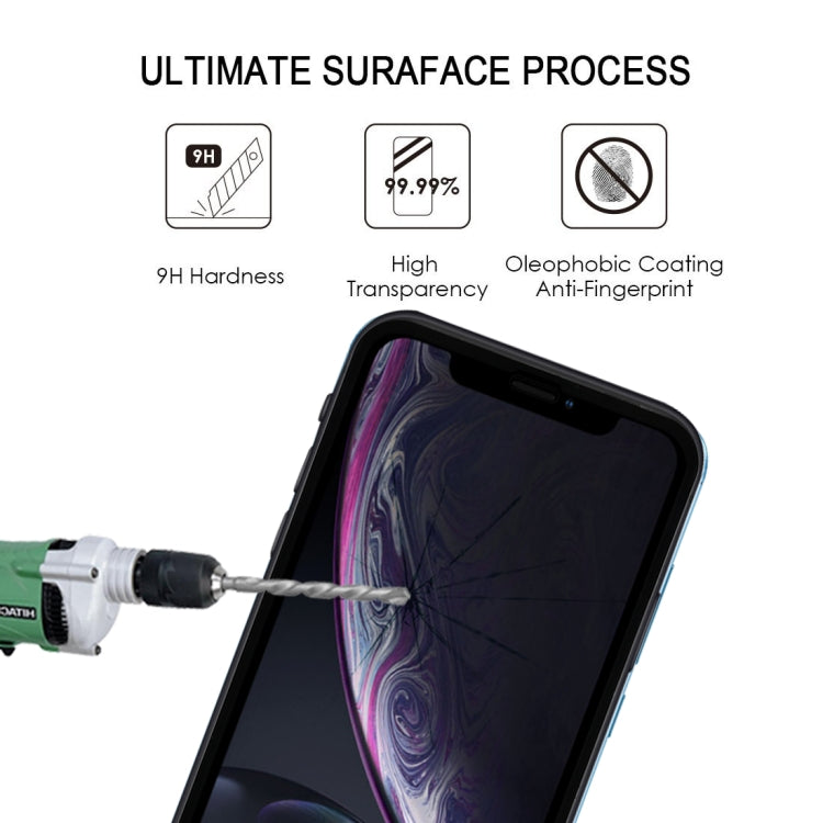 適用於iPhone 11 / XR 9H 2.5D 超薄絲印碳纖維全屏保護膜