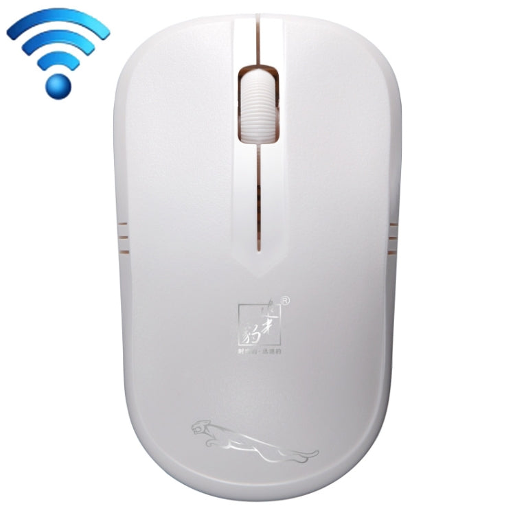 追光豹ZGB 101B 2.4GHz 筆記本電腦無線鼠標 1600 DPI 無線距離：30m
