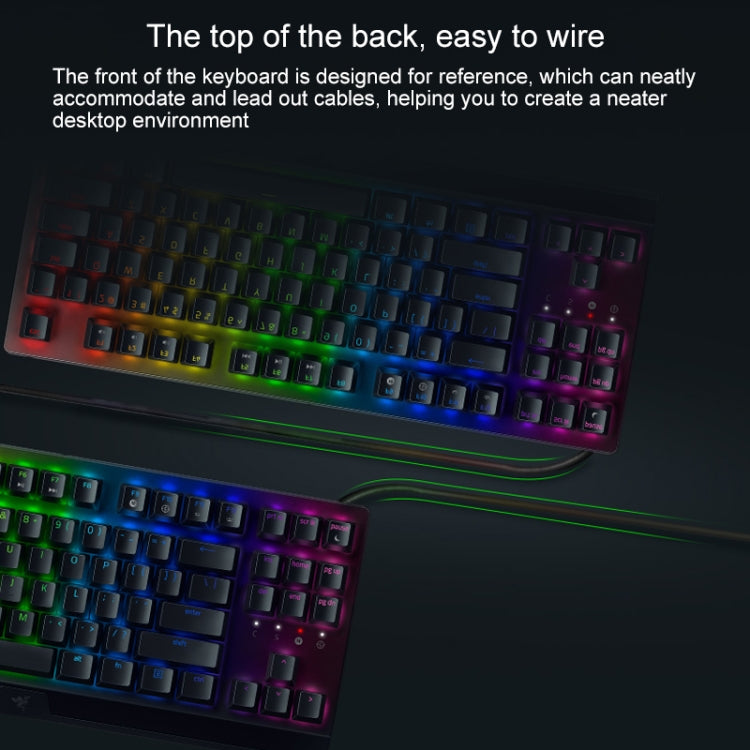 雷蛇 黑寡婦蜘蛛 V3 Tenkeyless RGB燈光有線机械鍵盤，競技版