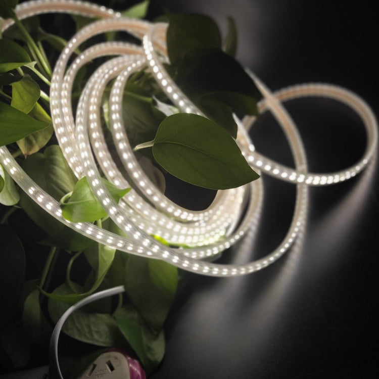 5m SMD 2835 600燈珠 LED 燈條，AC 220V-240V 歐規
