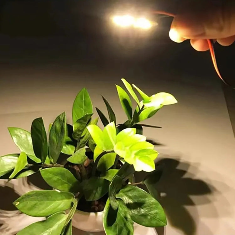 3W 6顆SMD 5730貼片燈珠 LED吸頂燈光源 暖白光 DC12V