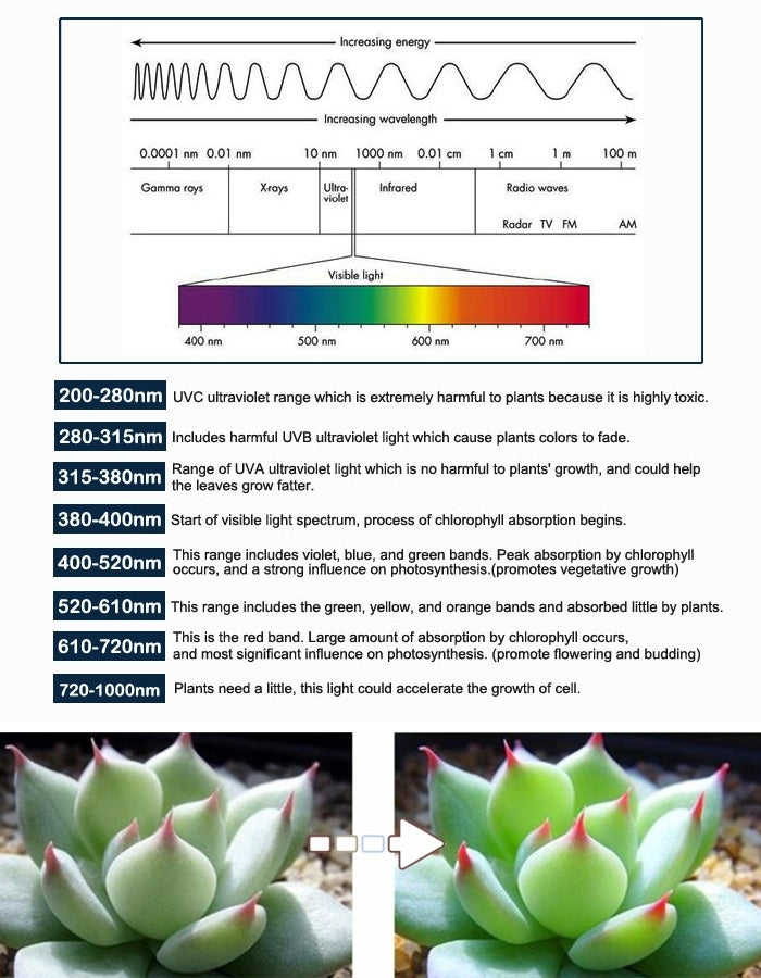 T5 4.8W 24LEDsLED植物生長補光燈大棚燈水族燈