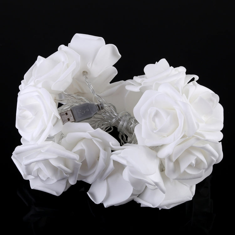 3米 20燈珠 USB 浪漫玫瑰聖誕節節日裝飾燈串 室內布置燈串