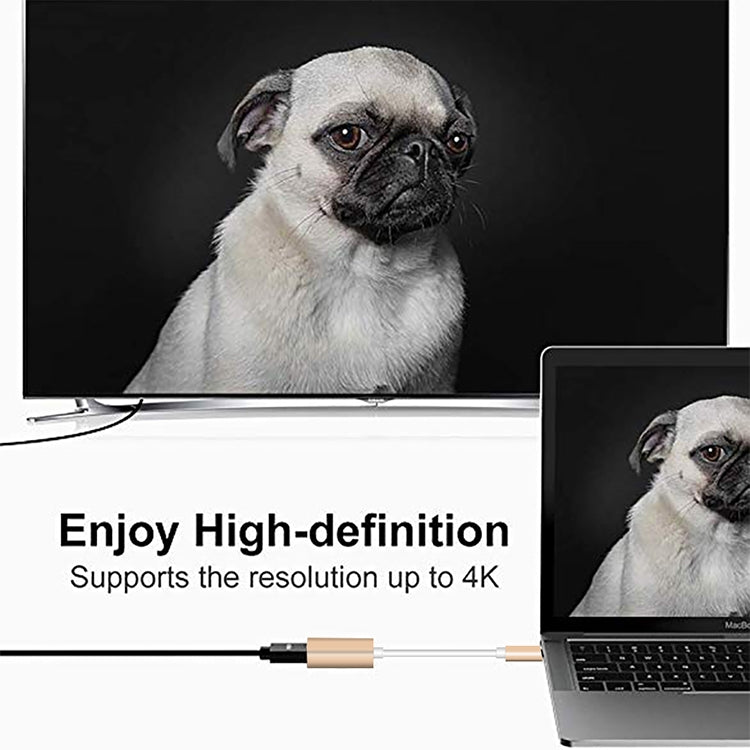USB 3.1 Type-C 公頭轉Mini DP母頭 高清轉換線，線長：12cm