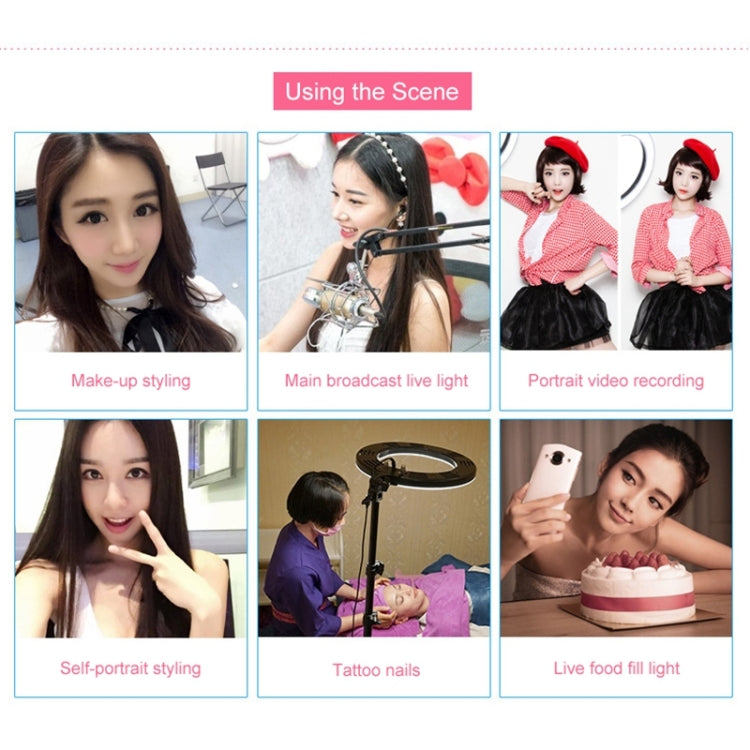 12寸主播攝影自拍LED環形補光燈