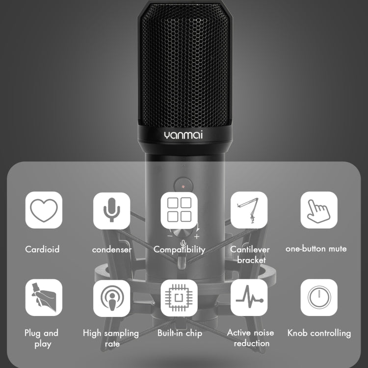 Yanmai Q10B USB 錄音麥克風套裝