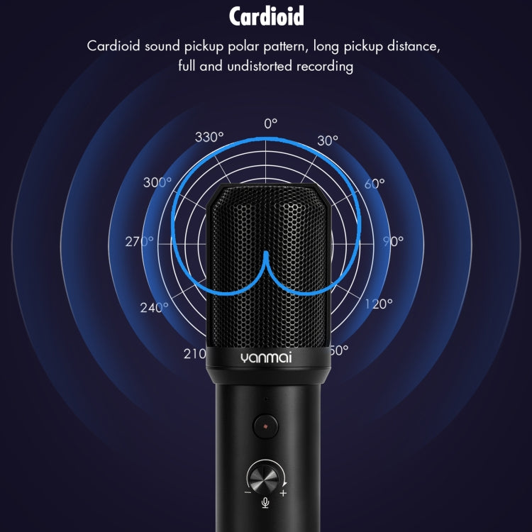Yanmai Q10B USB 錄音麥克風套裝