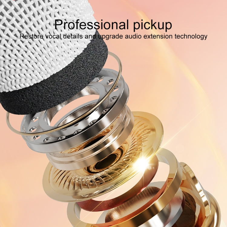 C20 Plus 多功能卡拉OK藍牙音箱 帶麥克風