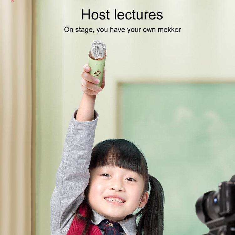 C20 Plus 多功能卡拉OK藍牙音箱 帶麥克風