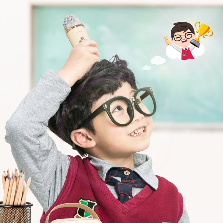 C20 Plus 多功能卡拉OK藍牙音箱 帶麥克風