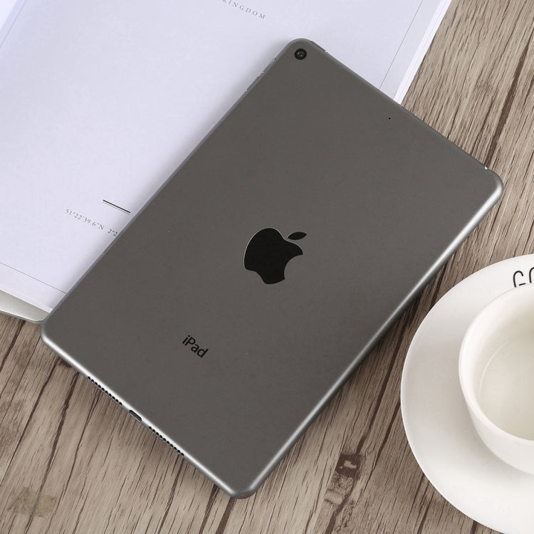 iPad Mini 5 黑屏模型機