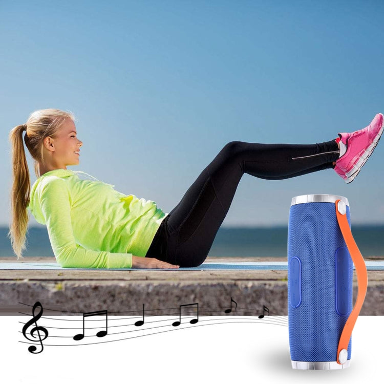 T&G TG109便攜藍牙音箱 帶提手 內置麥克風 支持免提通話 TF卡 AUX FM