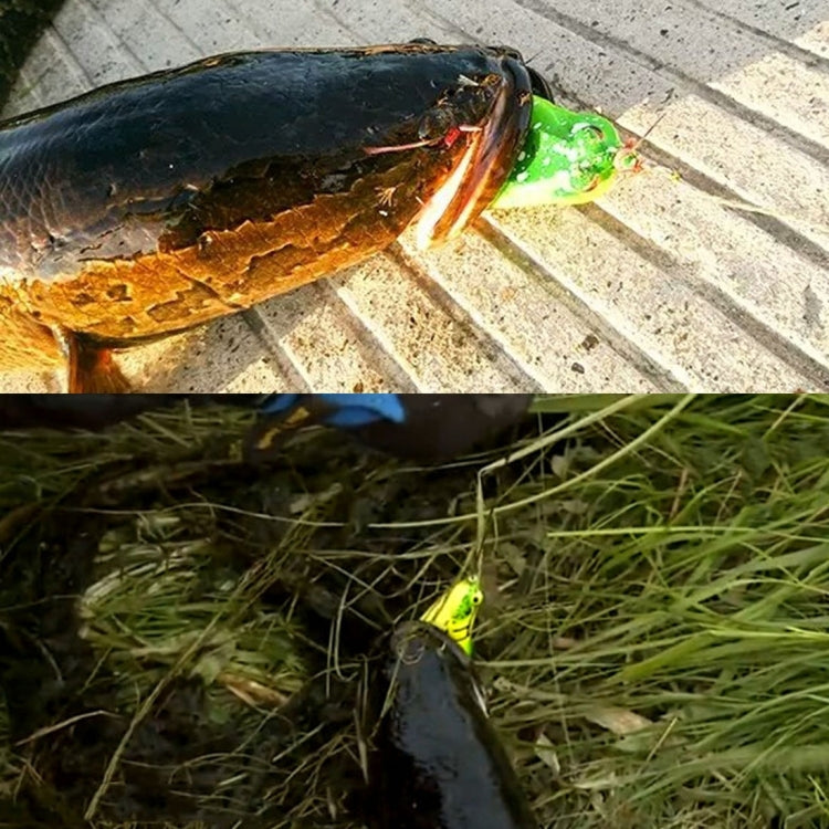HENGJIA 5 PCS 軟體黑魚雷蛙假餌盒裝路亞餌雷蛙套裝魚餌青蛙魚餌盒裝