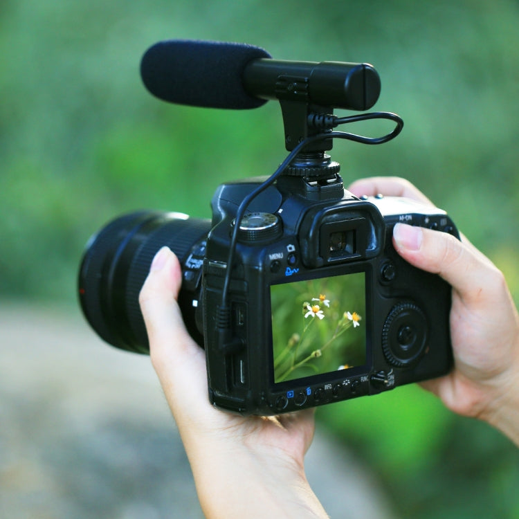 音頻轉接延長線 20cm長 適用於PU3017