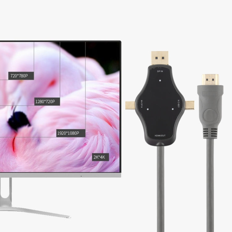D65A DisplayPort In & Mini DP In & Type-C In 轉 HDMI 4K Output 多功能轉接線 線長：1.8m