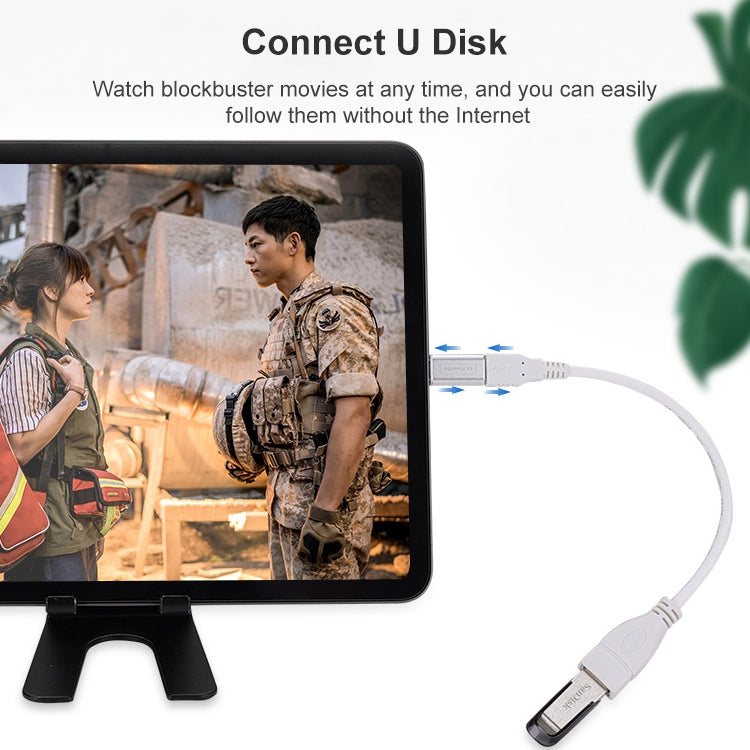 Type-C / USB-C轉USB 3.1 MF 適配器