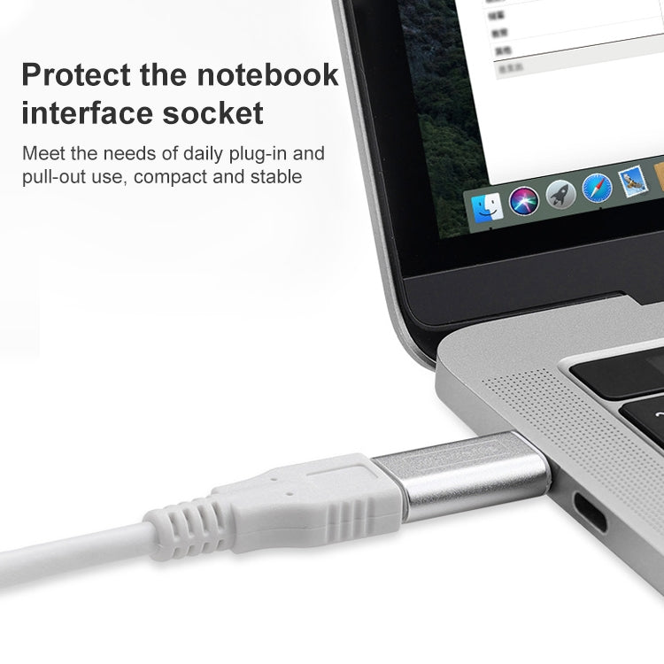 Type-C / USB-C轉USB 3.1 MF 適配器