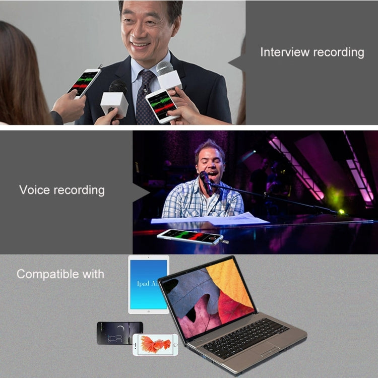 R1 迷你手機麥克風