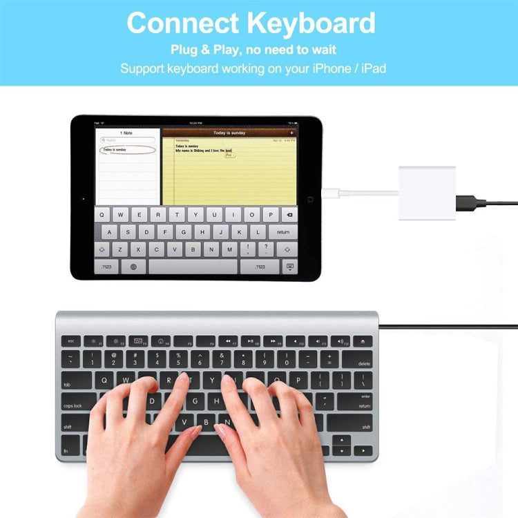 2合一 8 Pin公頭轉8 Pin / USB3.0 相機適配器