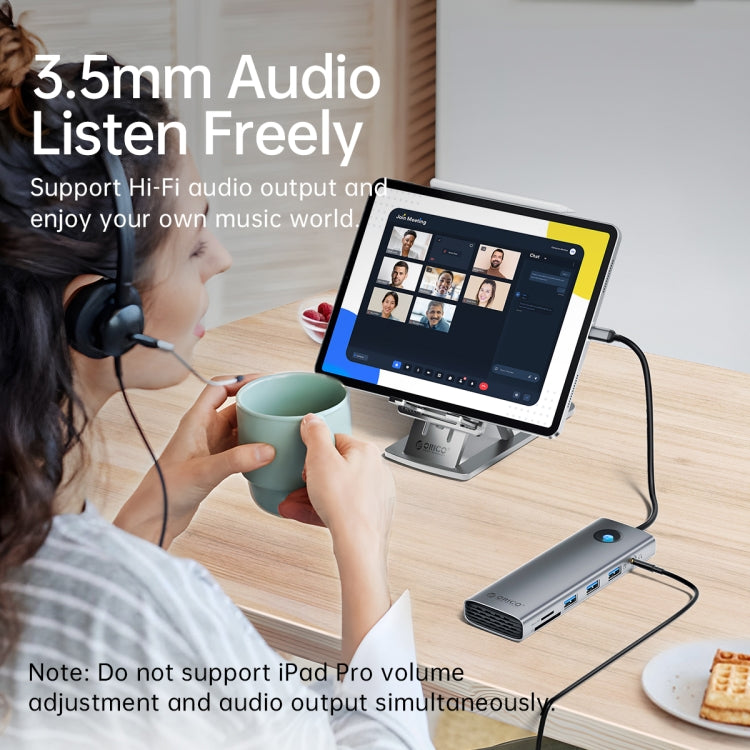 ORICO PW11-9P Type-C 九合一擴展塢 , PW11-9P