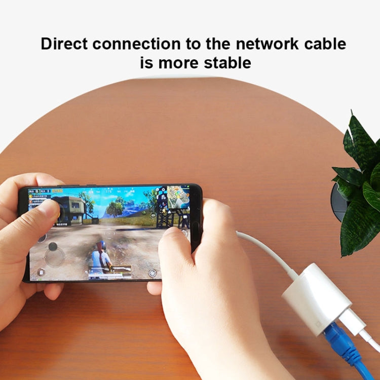 NK-1035 TC 2合一 Type-C公頭轉以太網+Type-C電源母頭 適配器