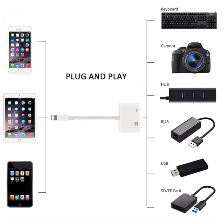 8 Pin 轉 USB & 8 Pin 數據充電轉接線 長度:11cm 支持iOS9.2及以上系統
