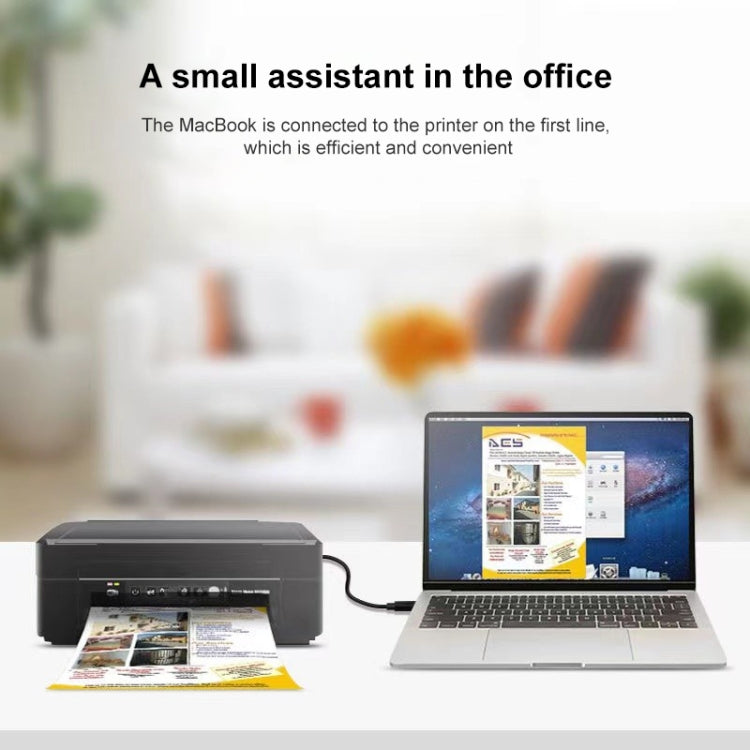 USB-C 3.1 / Type-C 公頭 轉 USB BM 數據線，長度：1米