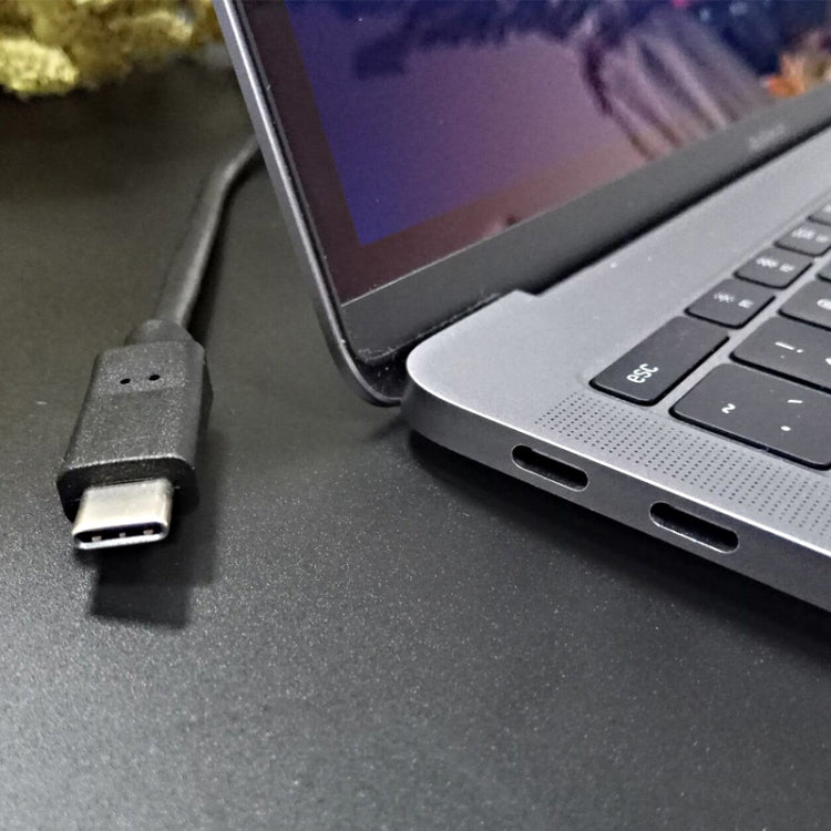 USB 2.0 / 3.1 轉 Type-C 快充數據線，長度：1米