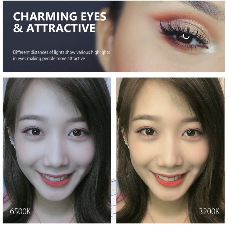 PULUZ 6.2英寸可調光LED環形攝影燈補光燈+桌面三腳支架