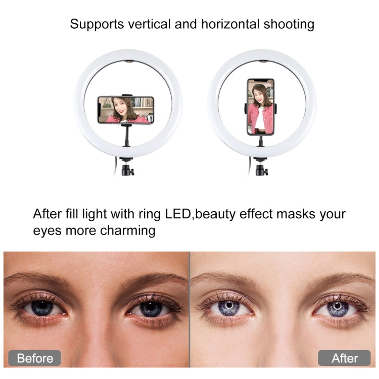 PULUZ 30cm 11.8英寸RGB可調光LED環形補光燈PU411+1.1m直播補光燈三腳支架PU419 環形燈套裝