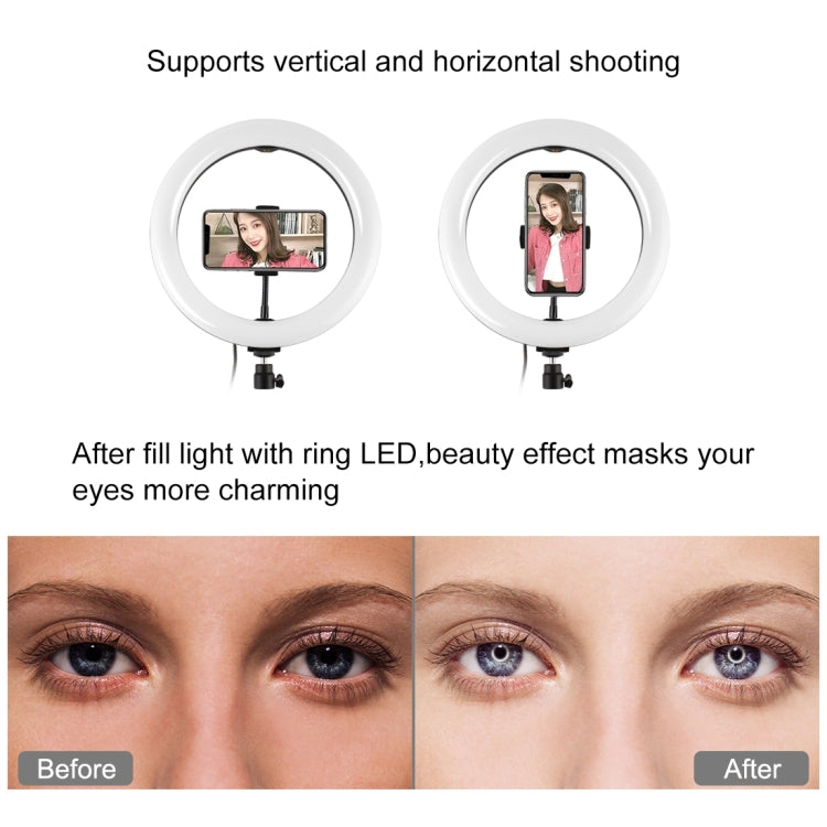 PULUZ PU394雙機位橫杆支架+PKT3035環形補光燈直播套裝