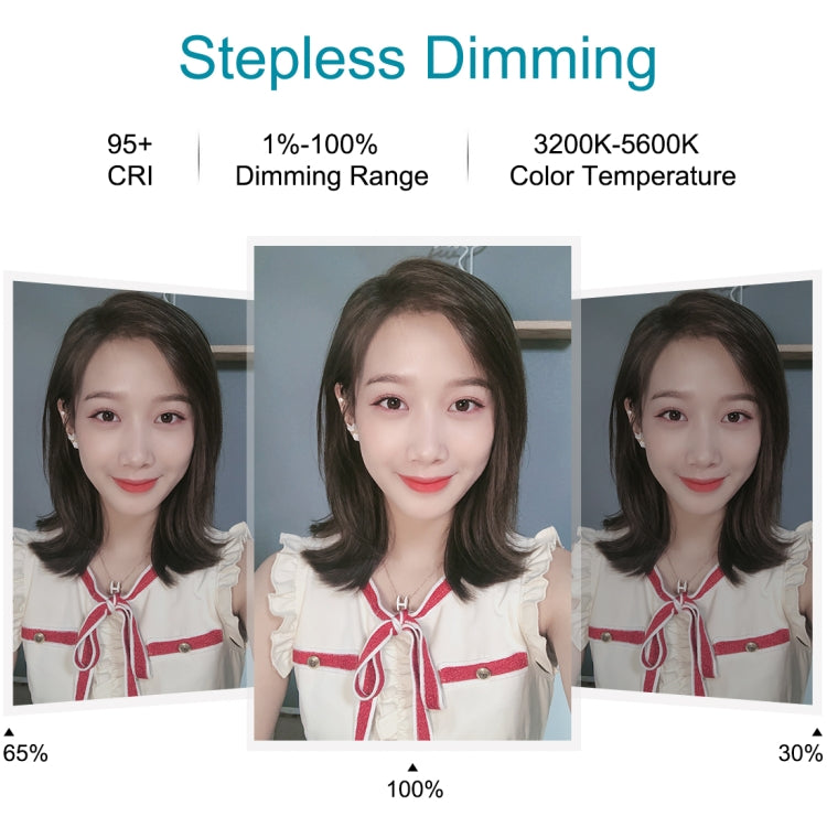 PULUZ  11.8英寸30cm可調光 雙色溫LED環形補光燈PU457B+ PU450B三腳架 直播套裝 手機夾