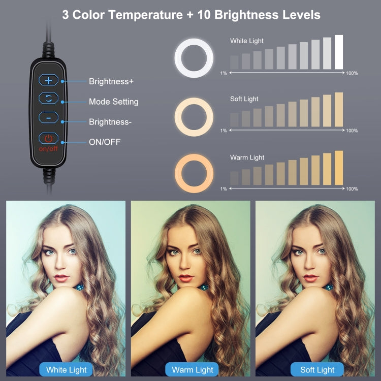 PULUZ PU391桌面支架環形補光燈套裝+ PU394多機位直播支架