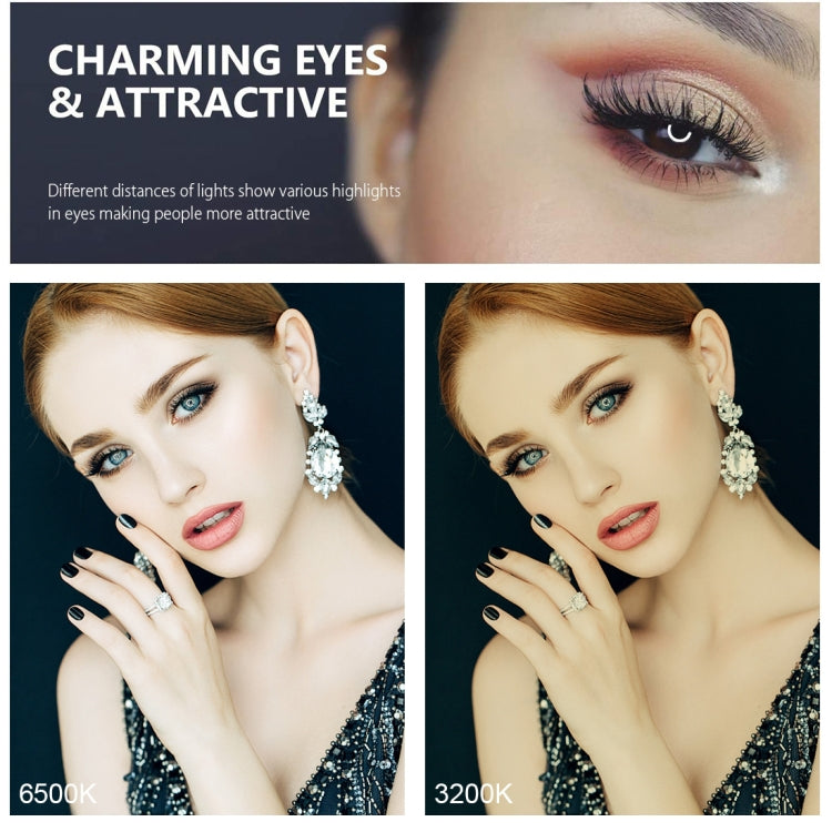 PULUZ PU391桌面支架環形補光燈套裝+ PU394多機位直播支架