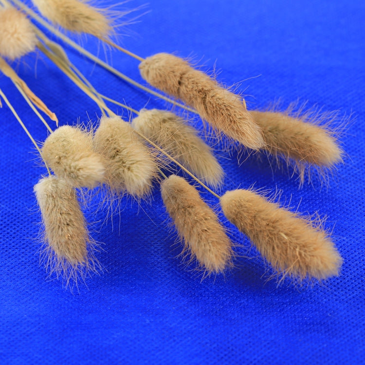 PULUZ  6個色裝 可摺疊純色 攝影背景布 尺寸: 80cm x 40cm