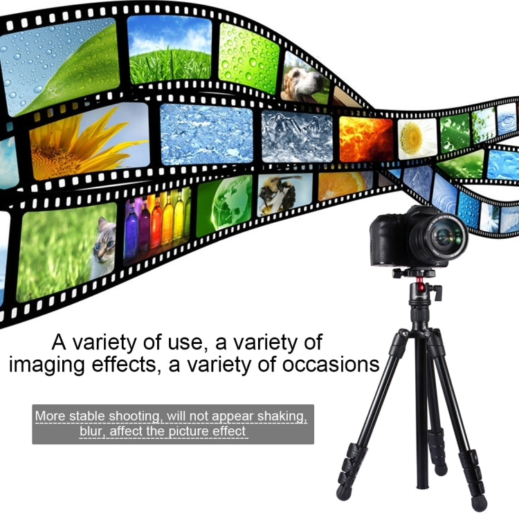 PULUZ  相機三腳架 帶雲台 高度調節42-130cm