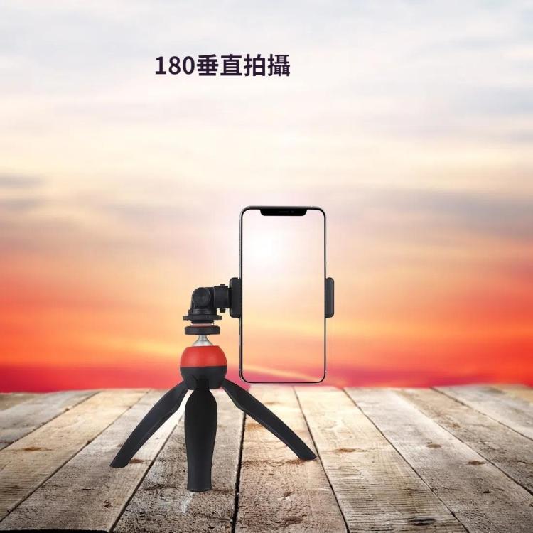 PULUZ  1/4螺絲三角架冷靴座雲台帶手機夾