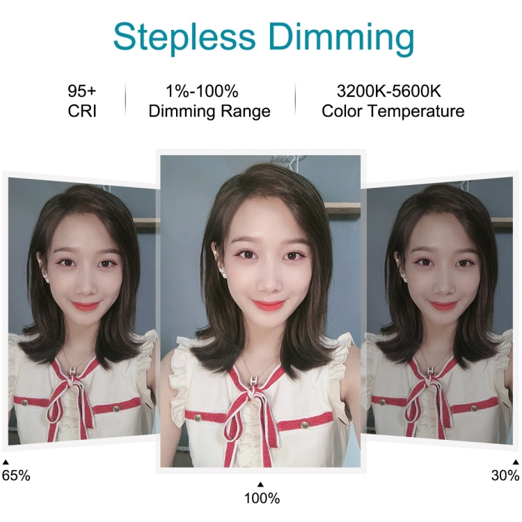 PULUZ 10.2英寸26cm可調光 雙色溫LED弧面擴散光環形攝影燈自拍補光燈, 帶手機夾