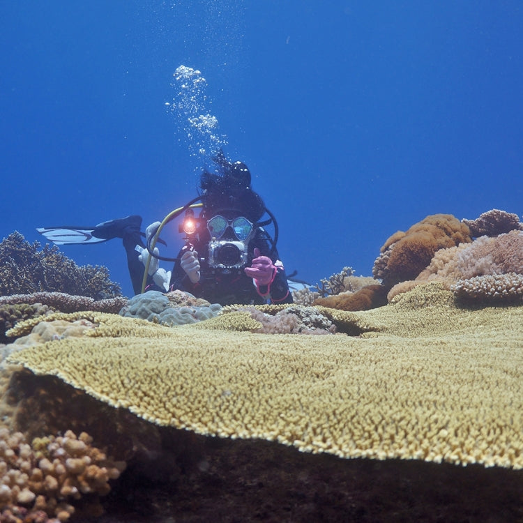PULUZ 索尼  RX100 III 相機潜水殼  防水殼 40米防水