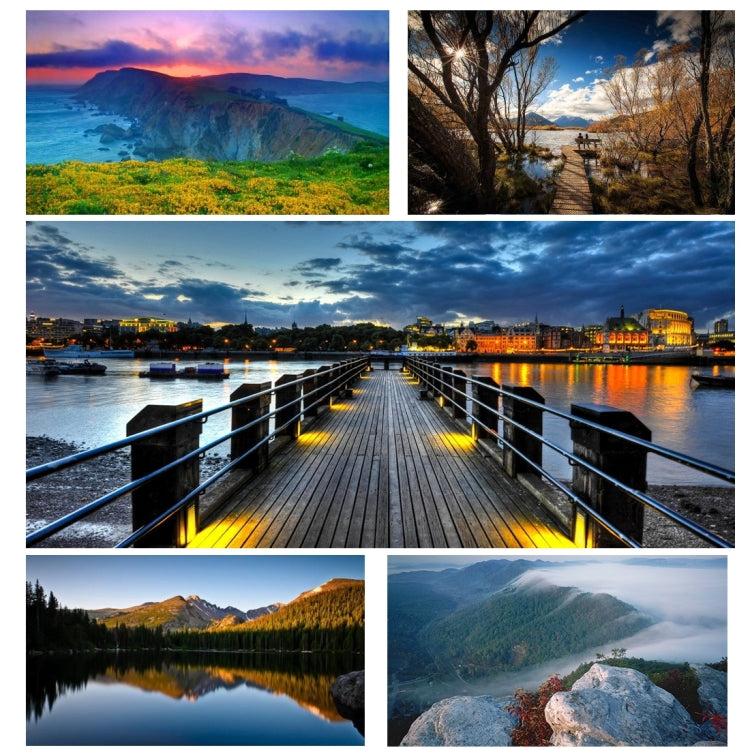 相機支架, 台式腳架