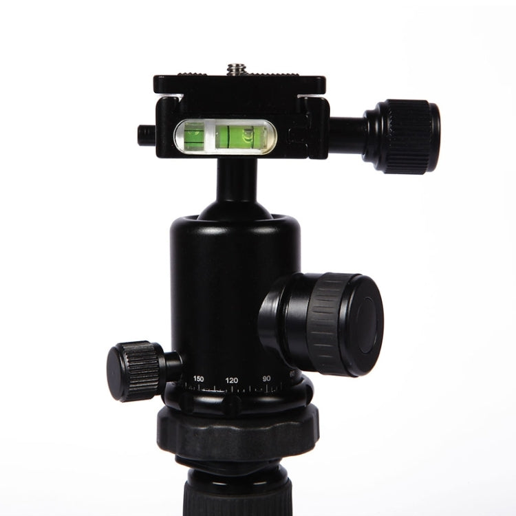 捷寶 MT-2505C單反相機可調節鋁合金三腳架帶NB-1S雲台