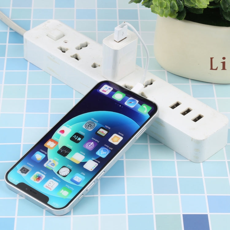 Micro USB母頭轉8 Pin公頭 迷你轉換器