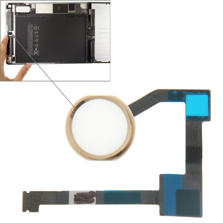 適用於iPad Air 2 / 6 原裝功能鍵排線