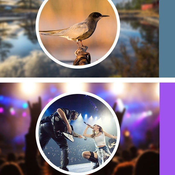 12X夾子長焦鏡頭 通用型 帶夾子 光學變焦鏡頭望遠鏡