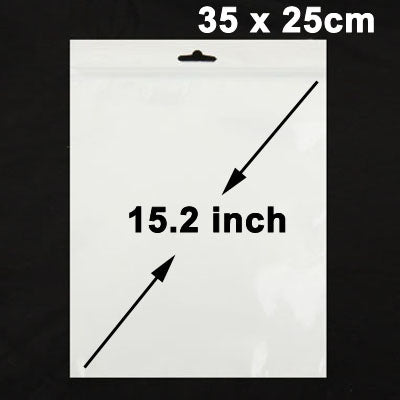 10.5 寸防靜電包裝袋, 100個裝, 35 x 25cm