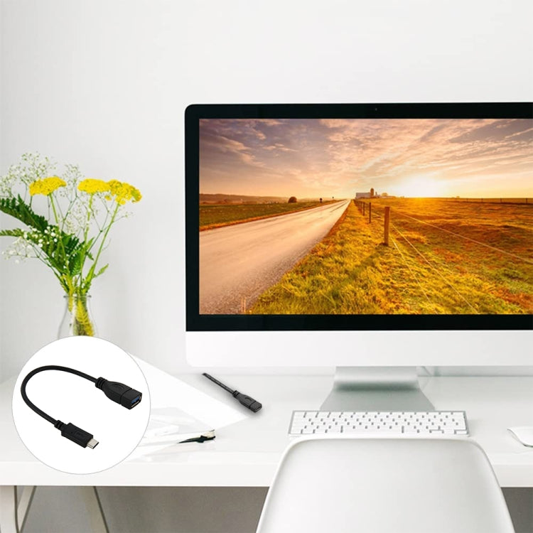 USB 3.1 Type-C 轉 USB 3.0 轉接線, 長度22cm