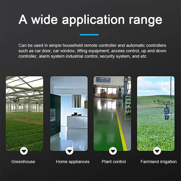 12V 兩路遙控開關+蝴蝶2鍵遙控器